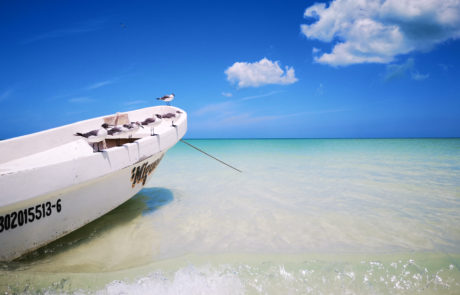 Fischerboot mit Möwen und türkisfarbenes, kristallklares Wasser am weißen Sandstrand auf der Isla Holbox in Mexiko