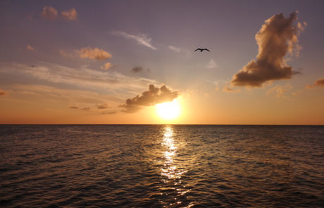 Sonnenuntergang über dem Meer auf der Isla Holbox in Mexiko