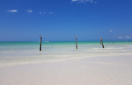 Weißer Sandstrand und Möwen auf der Isla Hobox in Mexiko