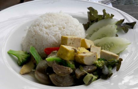 Gelber Thailand Tofu Kurkuma vegan