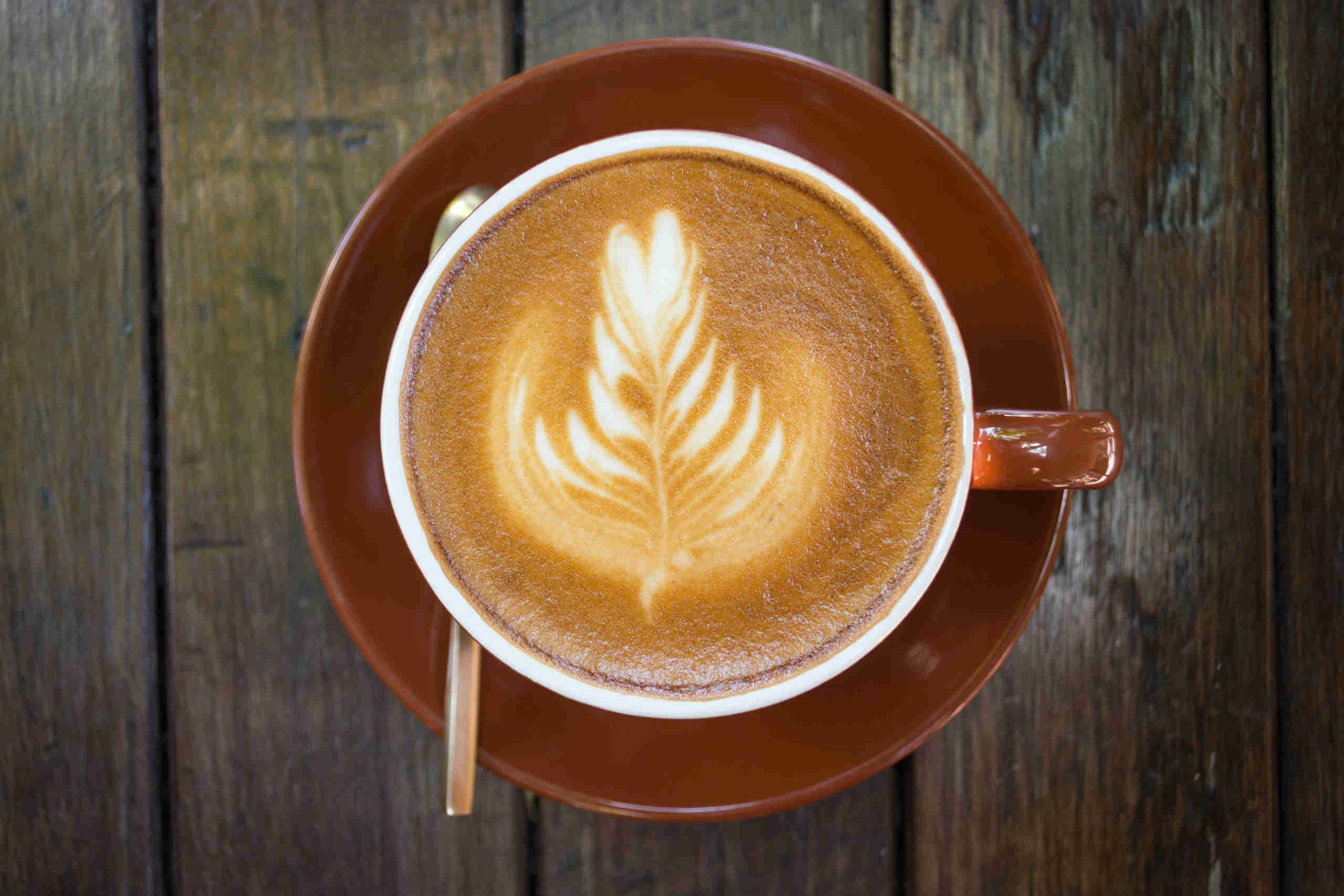 Vegan Frühstücken in Wien Kaffeetasse