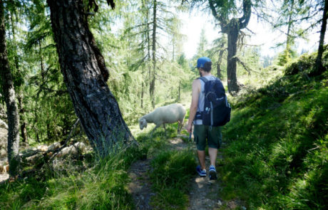 Hauser Kaibling Steiermark Österreich